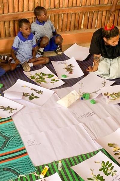 Event: Understanding Plants - Botany and Herbarium Practice