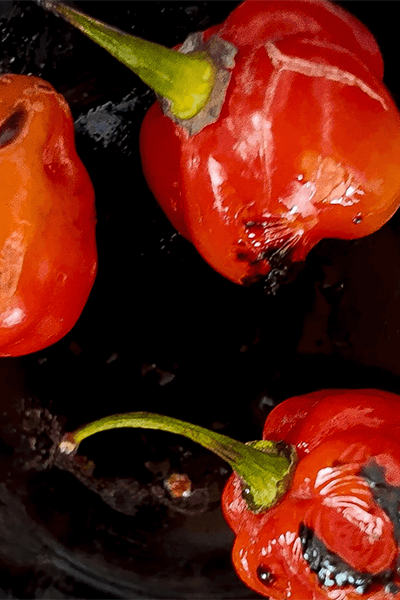 Event: Assorted Stories of Capsicum